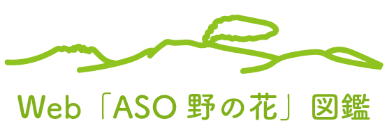 Web[ASO 野の花」図鑑ロゴ