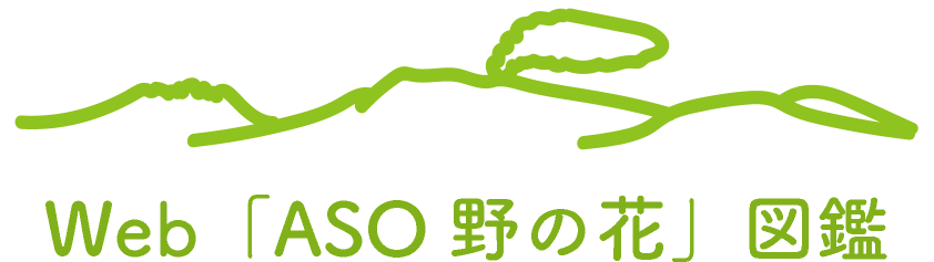 Web[ASO 野の花」図鑑ロゴ